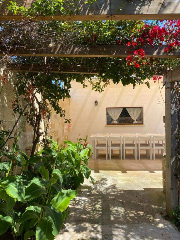 Tenuta Nonno Carmine - giardino e pergolato a Torre Castiglione, Porto Cesareo